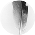 feather